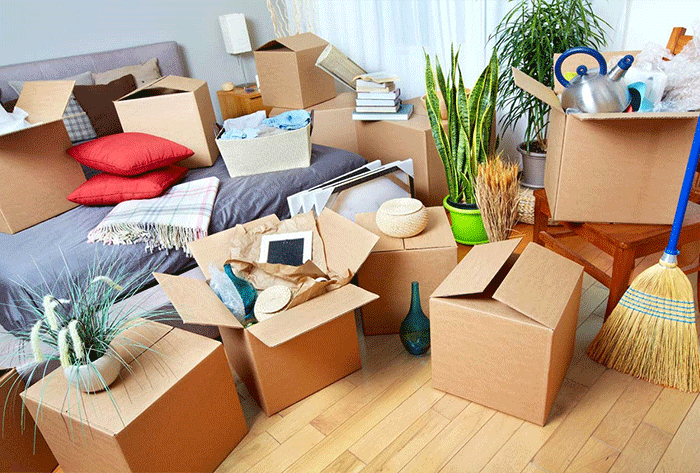 House Shifting